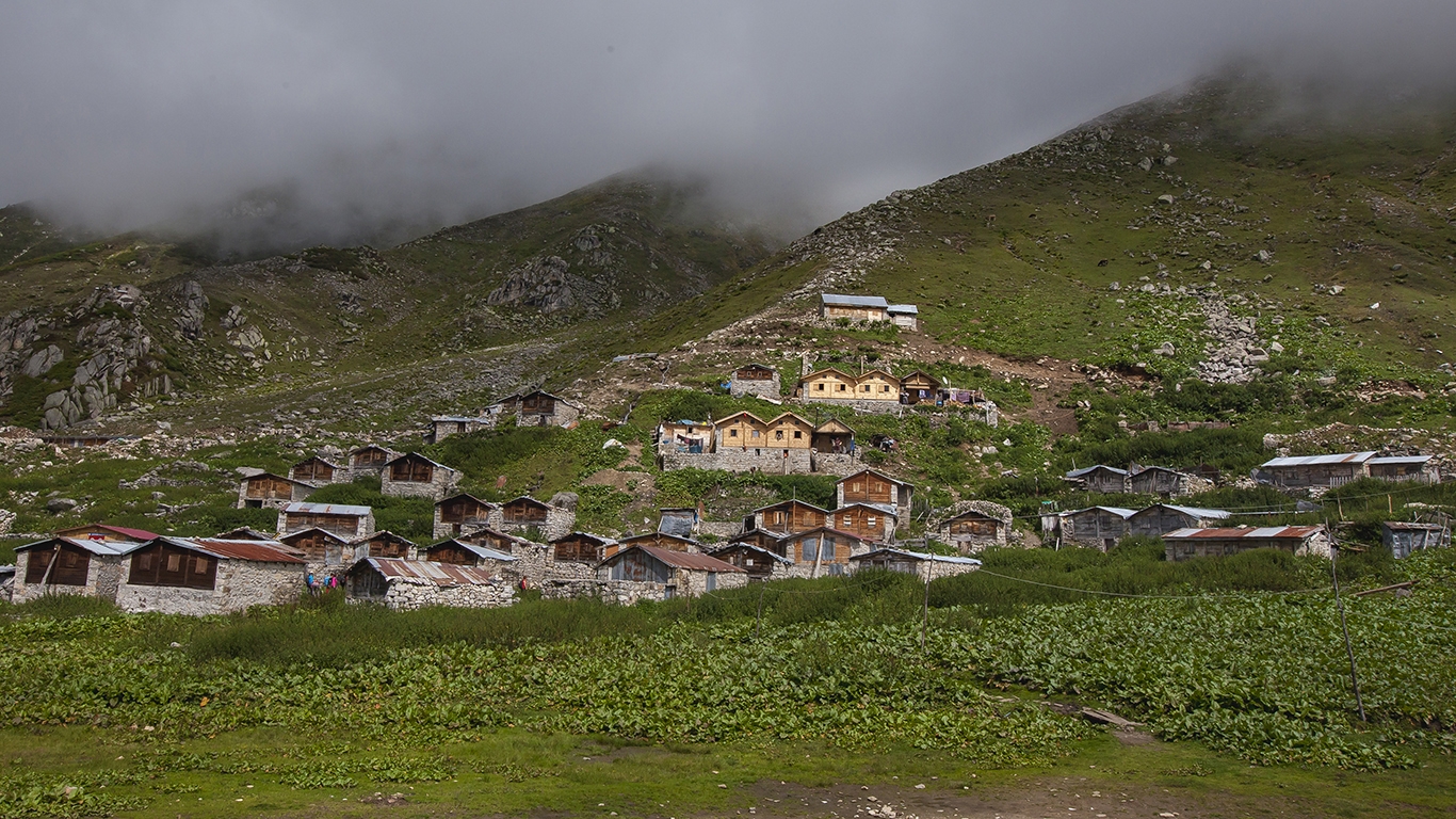 Karadeniz-Laz Yaylaları