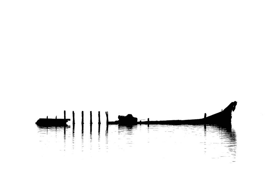 Erol Özdayı Portfolio
