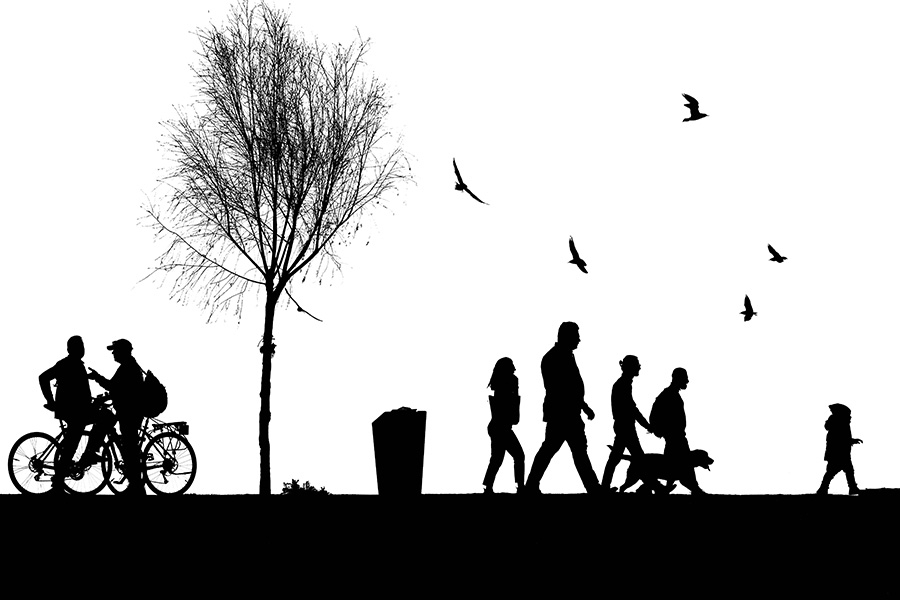 Erol Özdayı Portfolio