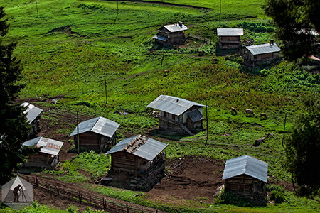 İZFAK Karadeniz Fotoğraf Kampı